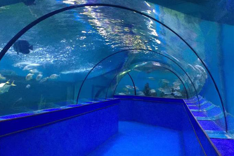水族館工程